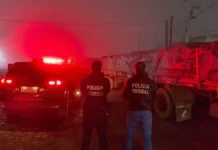 Motorista é preso por contrabando de abóboras em Santa Catarina