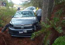 Com pets no banco de trás, motorista morre em colisão na BR-282