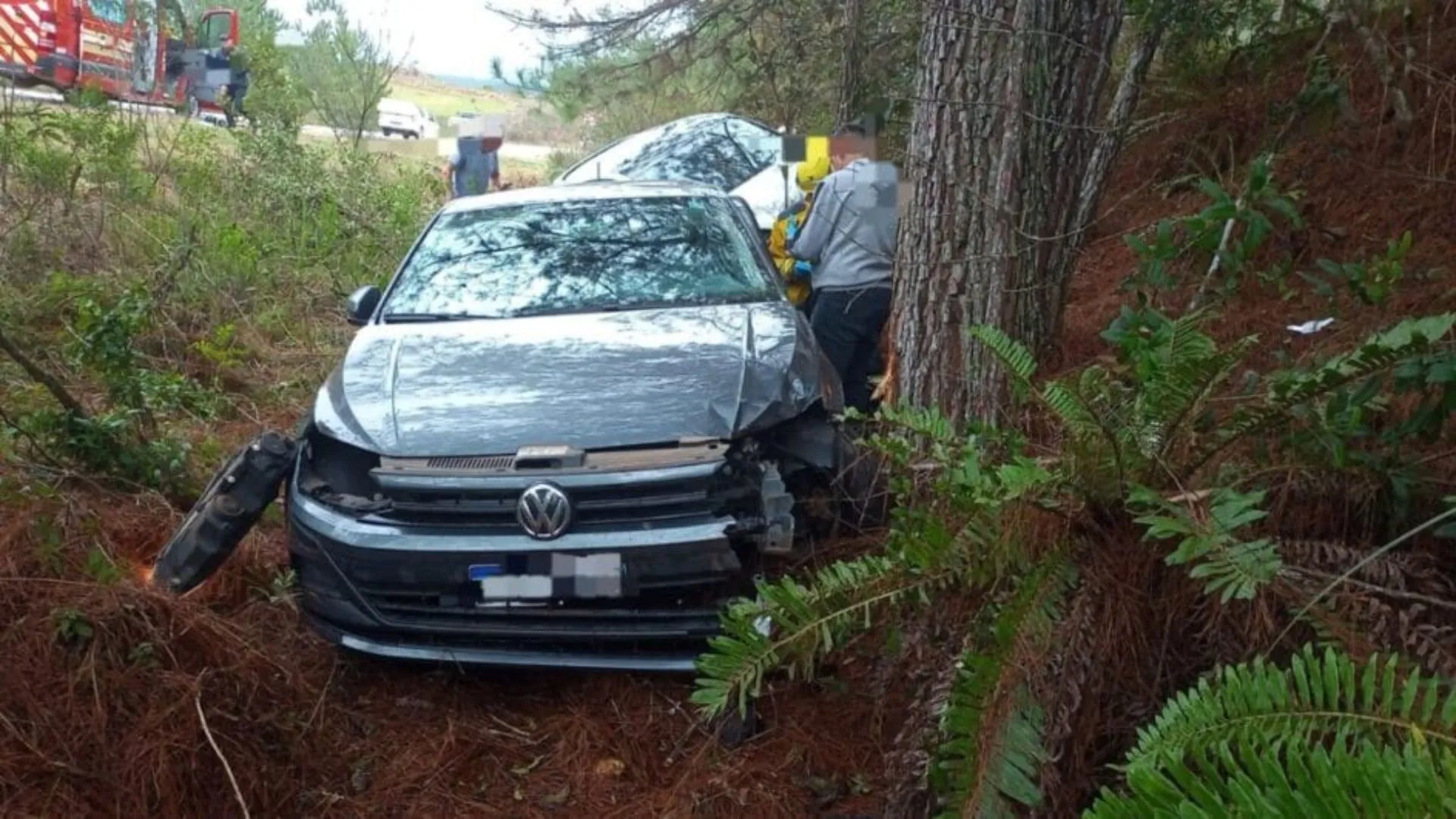 Com pets no banco de trás, motorista morre em colisão na BR-282