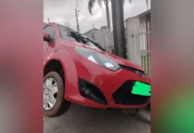 Criança de 8 anos morre ao ser atropelada em Curitibanos