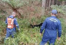 Buscas por Lusiane, mulher desaparecida em SC, segue com cão farejador