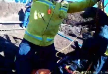 Cadela é resgatada de buraco com 5 metros de profundidade em Chapecó