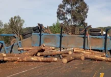 Carreta tomba na Curva da Soda e motorista se salva