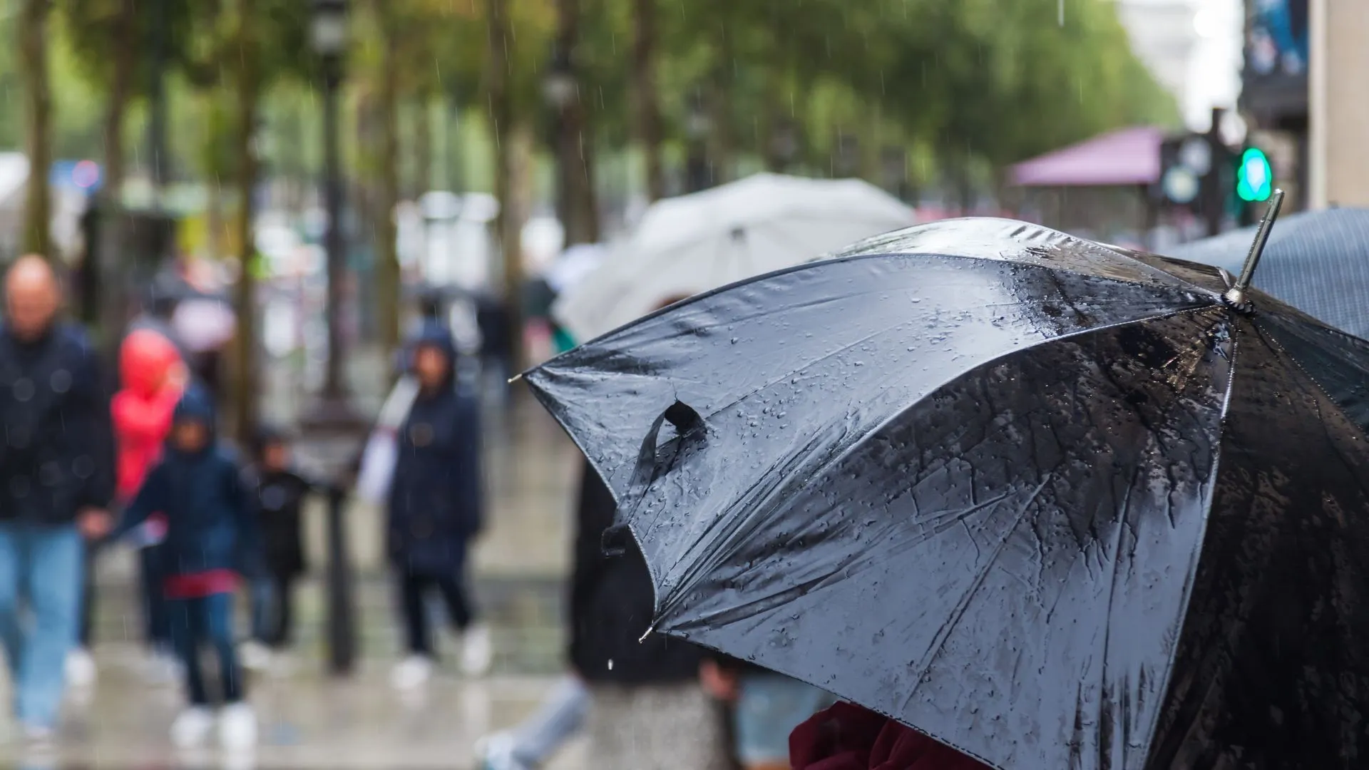 Sul do Brasil entra em alerta máximo para temporais, granizo e ventos fortes