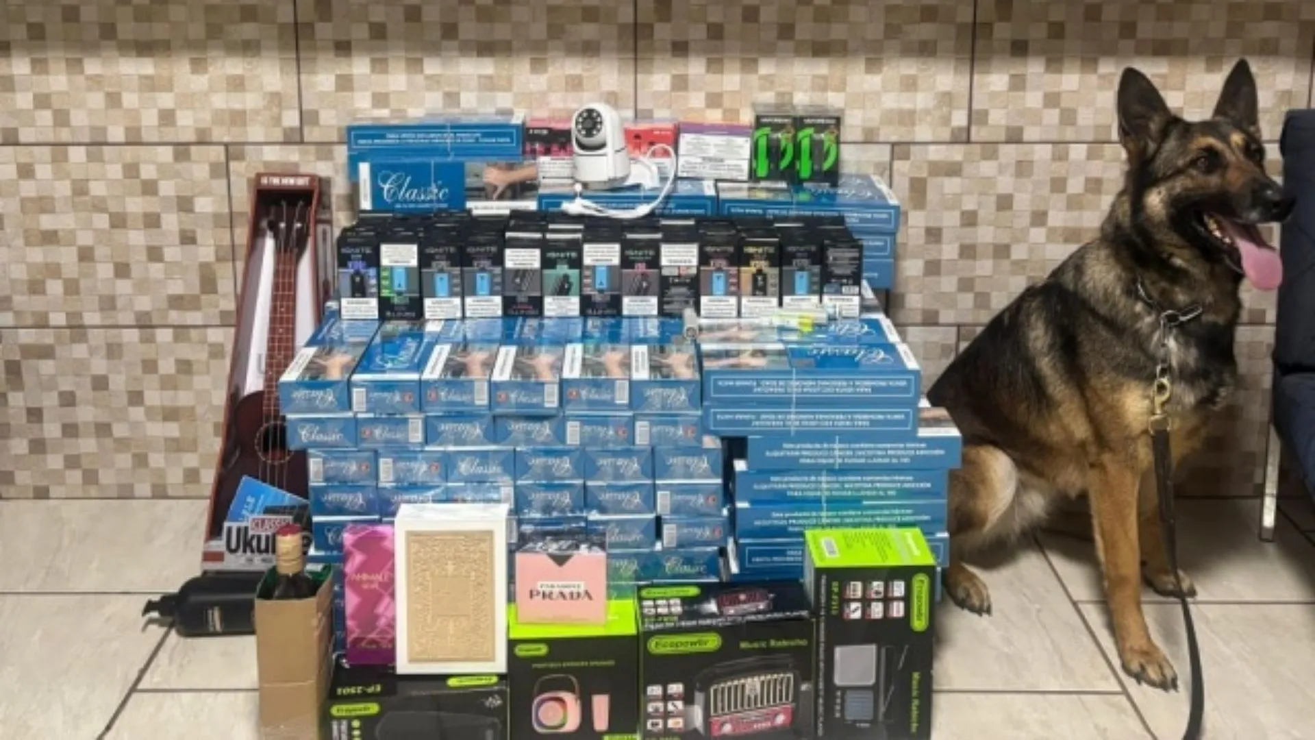 PM flagra mulheres com malas recheadas de produtos ilegais em rodovia do Oeste