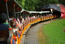 Beto Carrero World dá adeus à cobra gigante da ferrovia DinoMagic