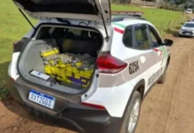 PM encontra 78 kg de maconha em carro abandonado no Meio-Oeste