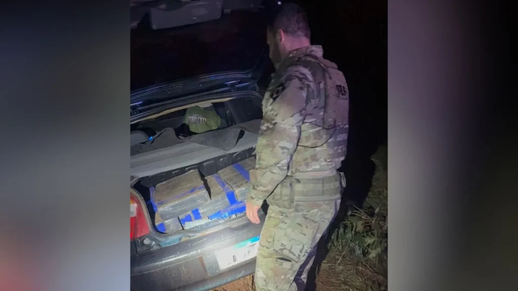 PRF apreende quase 300 kg de maconha em SC em apenas 24 horas