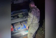 PRF apreende quase 300 kg de maconha em SC em apenas 24 horas