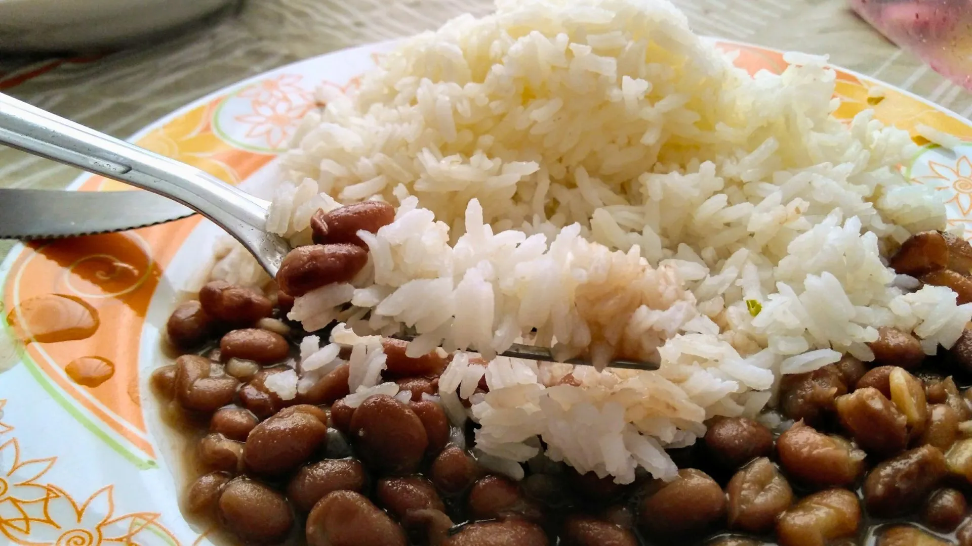 Arroz, feijão e farinhas têm isenção de ICMS em Santa Catarina