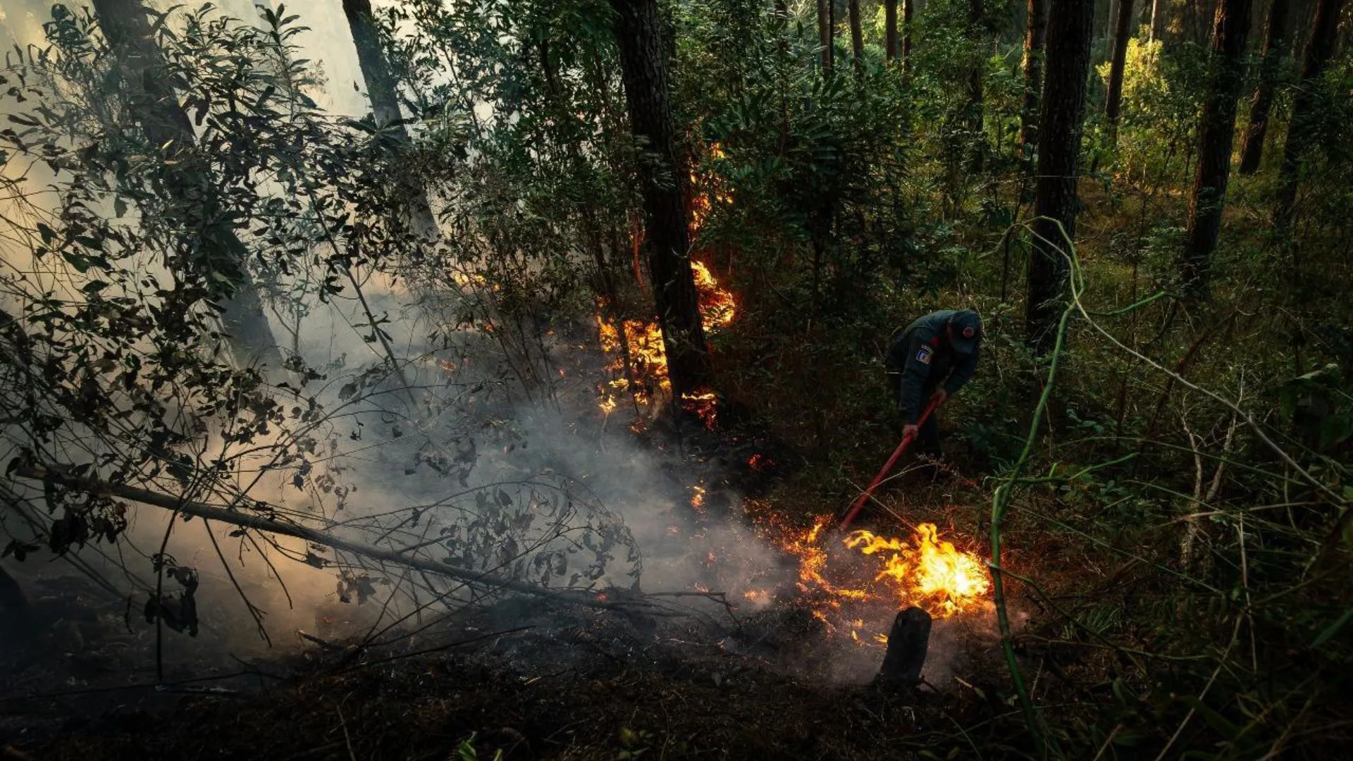 Incêndio de grande proporção destrói reflorestamento em Salto Veloso