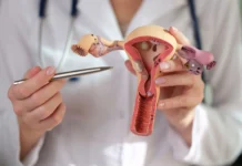 Ministério da Saúde começa a substituir papanicolau por exame de DNA-HPV no SUS