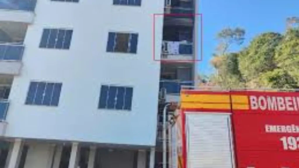 Vizinho salva dois gatos de incêndio em apartamento em Piratuba