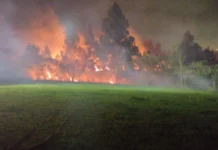 Incêndio em mata atinge mais de 16 mil m² em Curitibanos