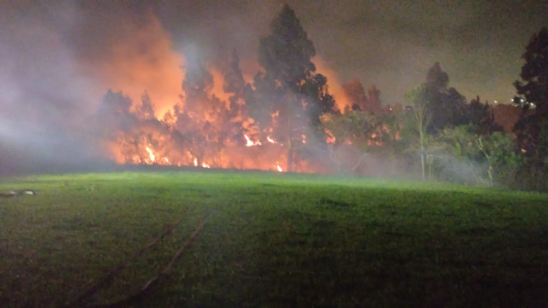 Incêndio em mata atinge mais de 16 mil m² em Curitibanos