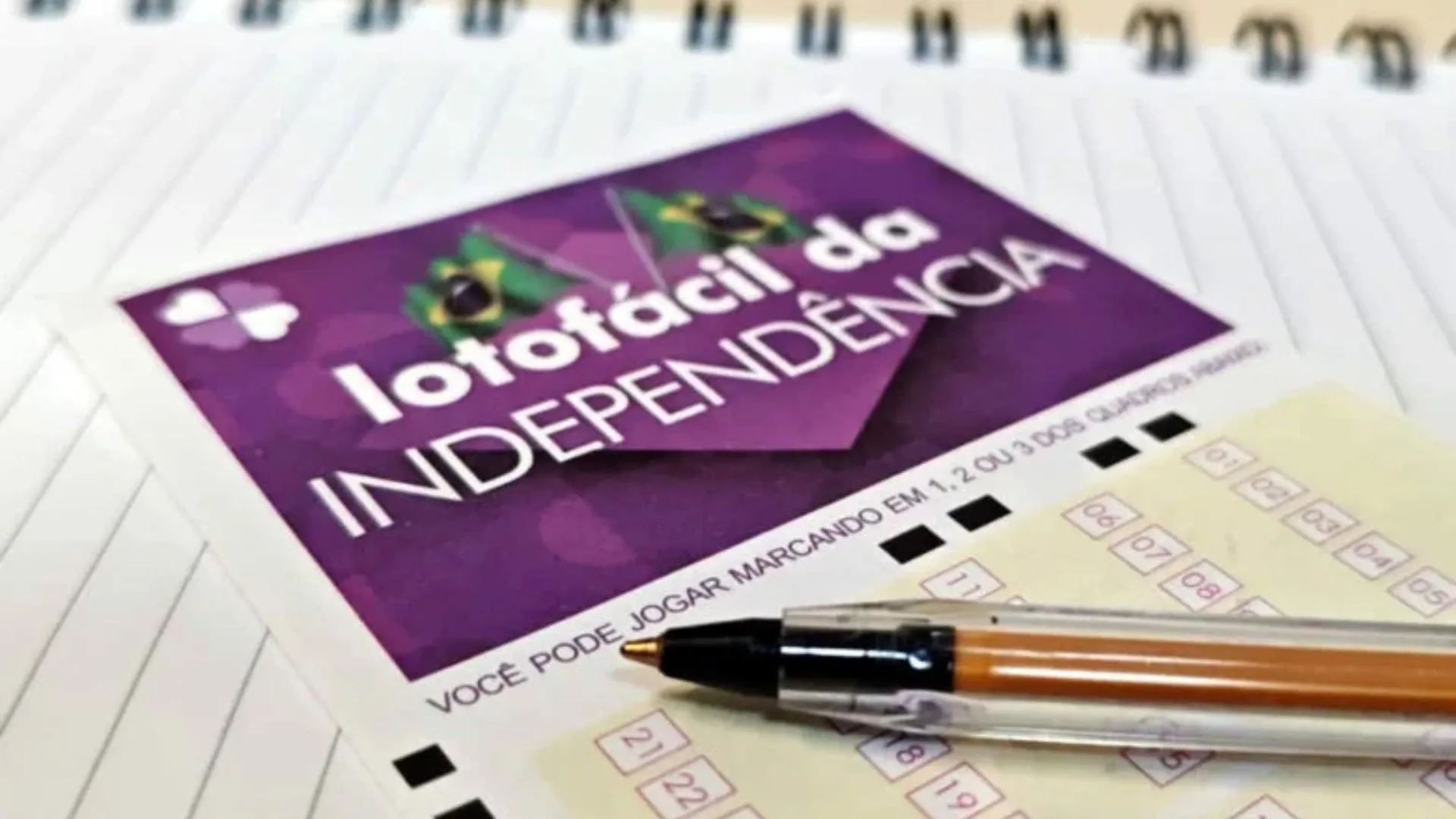 Lotofácil da Independência 2025 tem o maior prêmio da história: veja como jogar