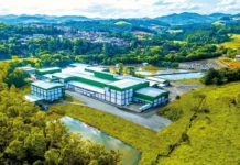 Master bate recorde histórico ao exportar 3,7 mil toneladas de carne suína em julho