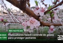 RBV Notícias Caçador – 11/08/2025 – Edição 1354