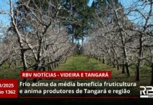 RBV Notícias Videira – 21/08/2025 – Edição 1362