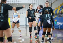 Napoli recebe o Brusque neste domingo em Caçador