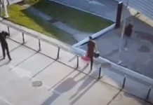 Homem preso por abandono de cadela em aeroporto de SC rejeitou adequar caixa de transporte, afirma polícia