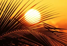 Semana começa com sol em Santa Catarina, mas frente fria traz chuva a partir de quarta