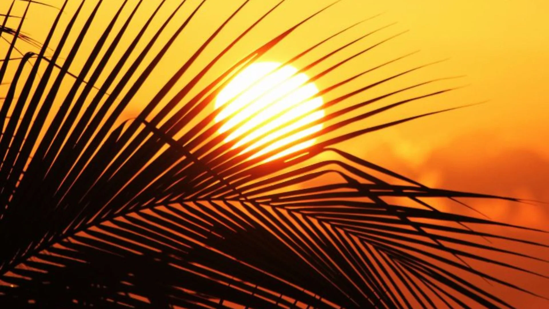 Semana começa com sol em Santa Catarina, mas frente fria traz chuva a partir de quarta