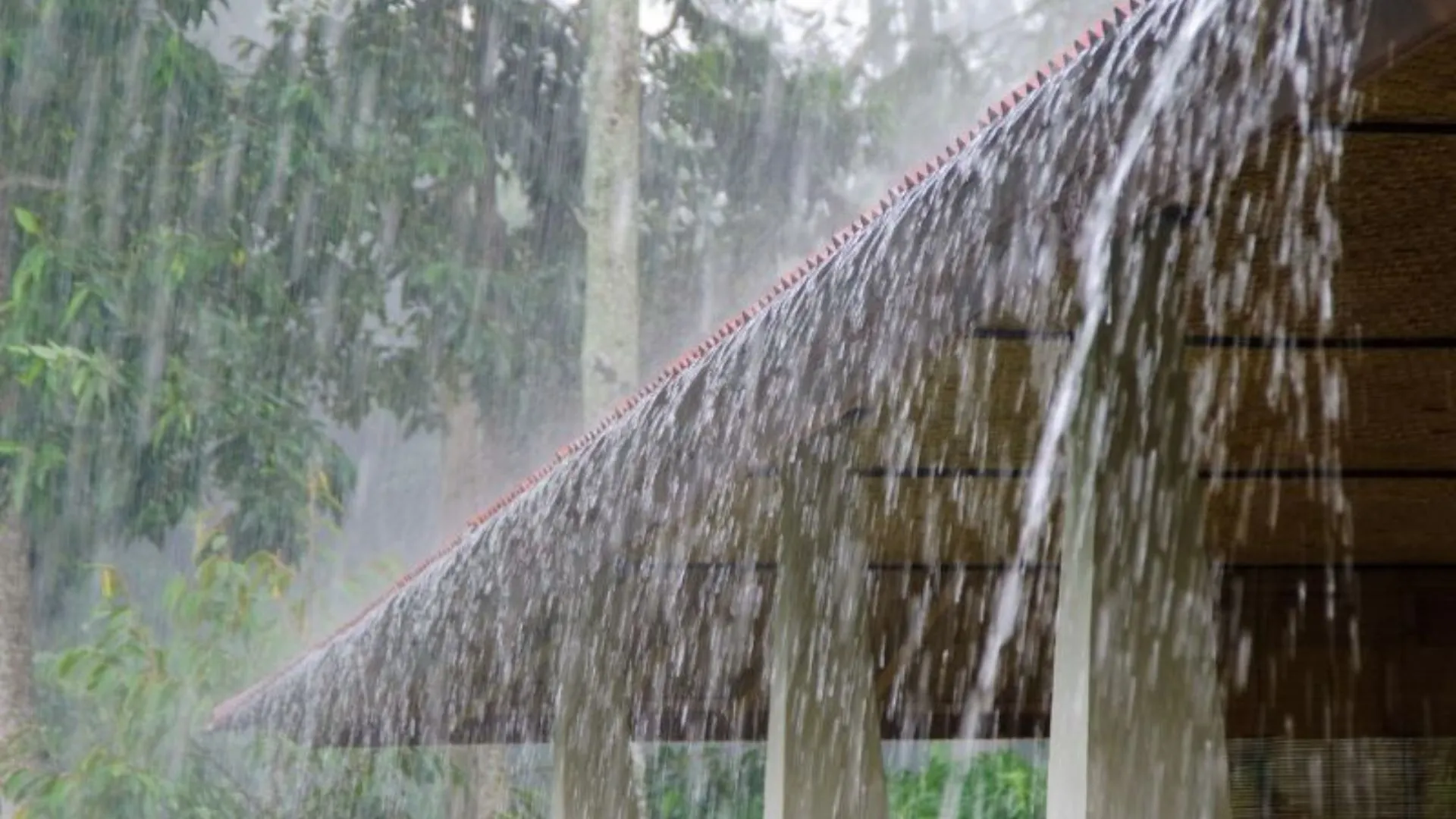Sexta-feira terá chuva intensa e risco de temporais em SC
