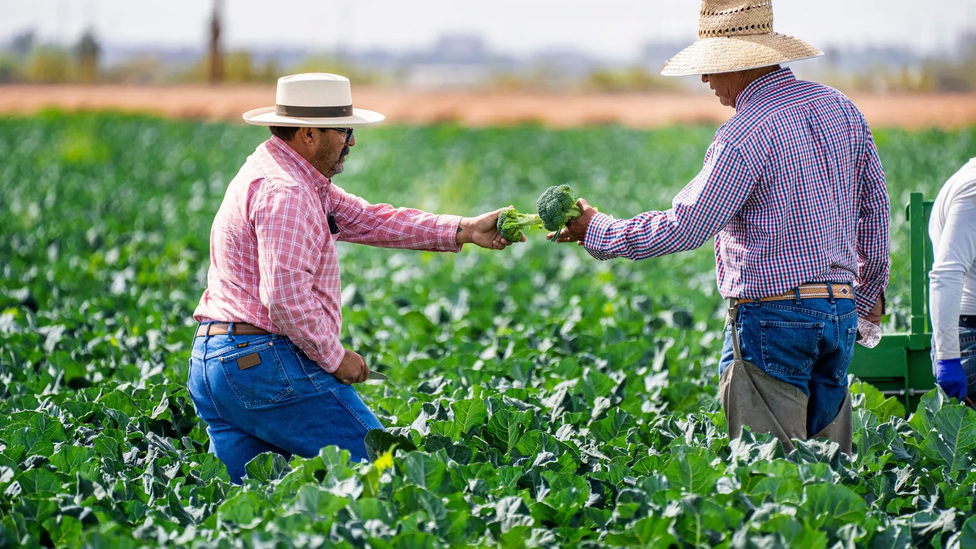Cidasc libera pagamento de taxas via PIX para produtores