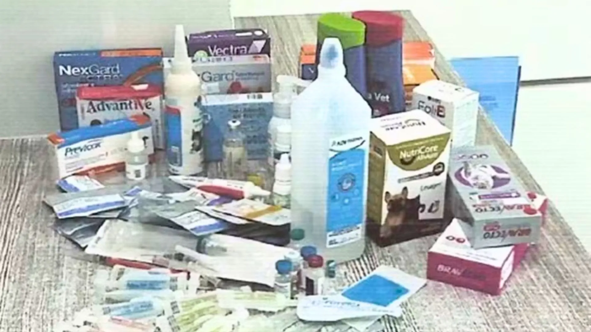 Hospital veterinário em SC é investigada por uso de medicamentos vencidos e ração estragada