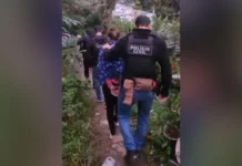 Mulher volta à prisão após novas ameaças a dentista nas redes sociais