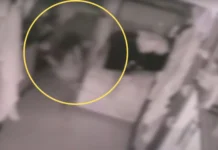 Atirador invade pousada e fere homem em tentativa de homicídio em SC