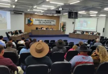 Câmara de Caçador recria Frente Parlamentar da Causa Animal