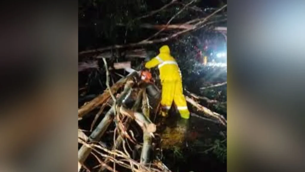 Árvores caem sobre carro durante temporal no Meio-Oeste de SC