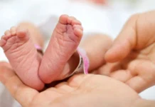 Feto é encontrado dentro de caixa de sapato em Santa Catarina