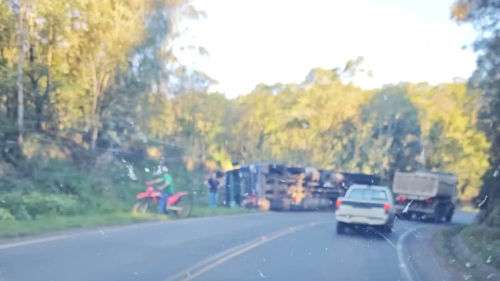 Caminhão de suínos tomba entre Arroio Trinta e Iomerê e deixa feridos