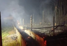 Granja de suínos é destruída por incêndio no interior de Ibicaré