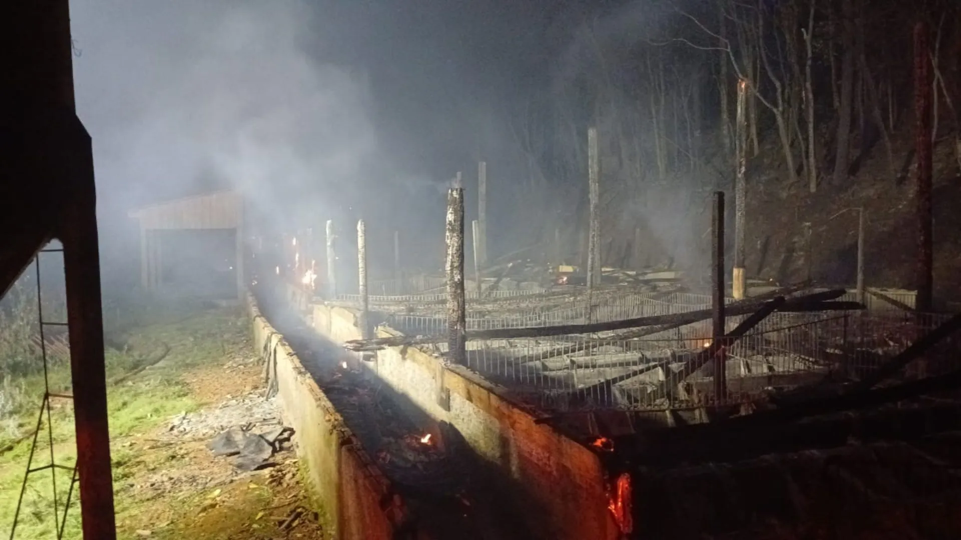 Granja de suínos é destruída por incêndio no interior de Ibicaré
