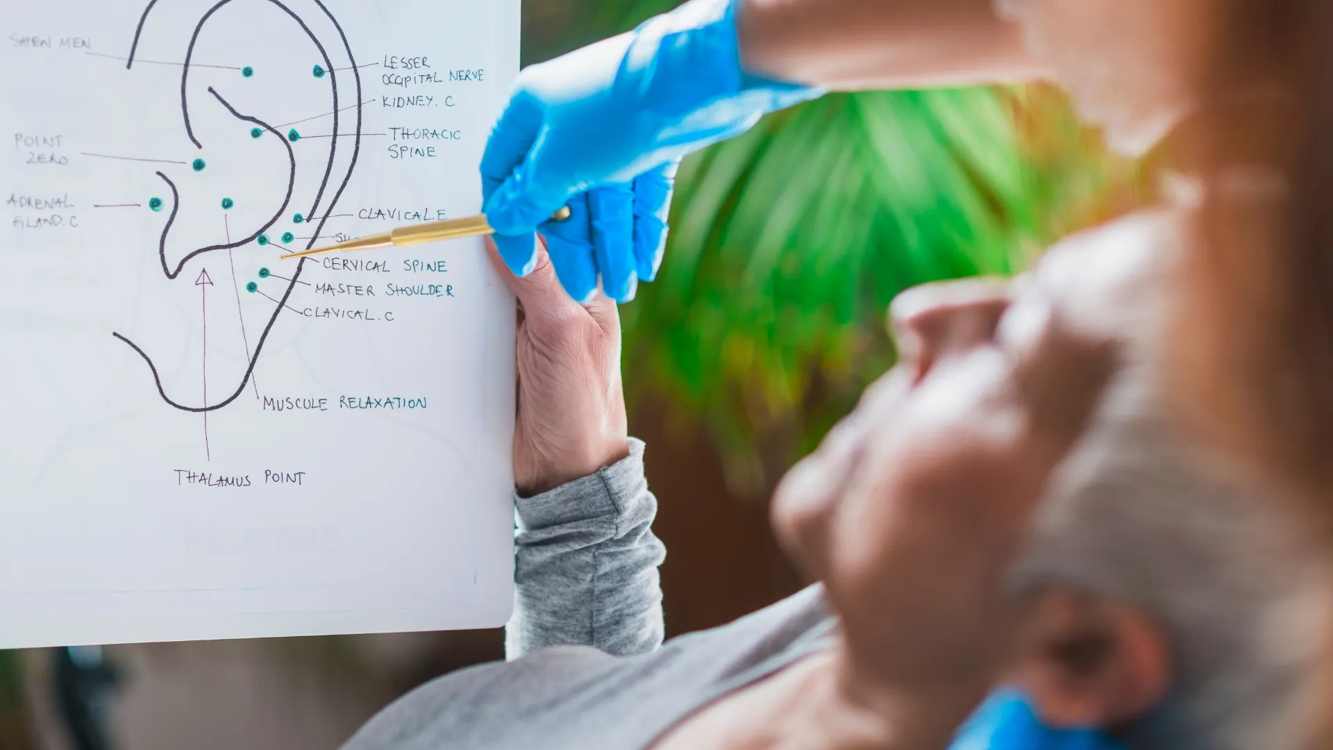 Seminário em Caçador aborda auriculoterapia e Terapia Ilib