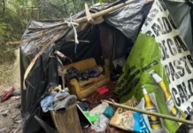 Barraco com itens inusitados é desmontado em área de preservação em SC