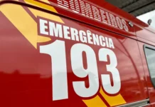 Homem fica gravemente ferido após queda de árvore em Videira