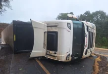 Caminhão carregado de couro tomba na SC-350 em Caçador