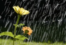 Frente fria traz chuva e temporais para SC nos próximos dias Frente fria traz chuva e temporais para SC nos próximos dias