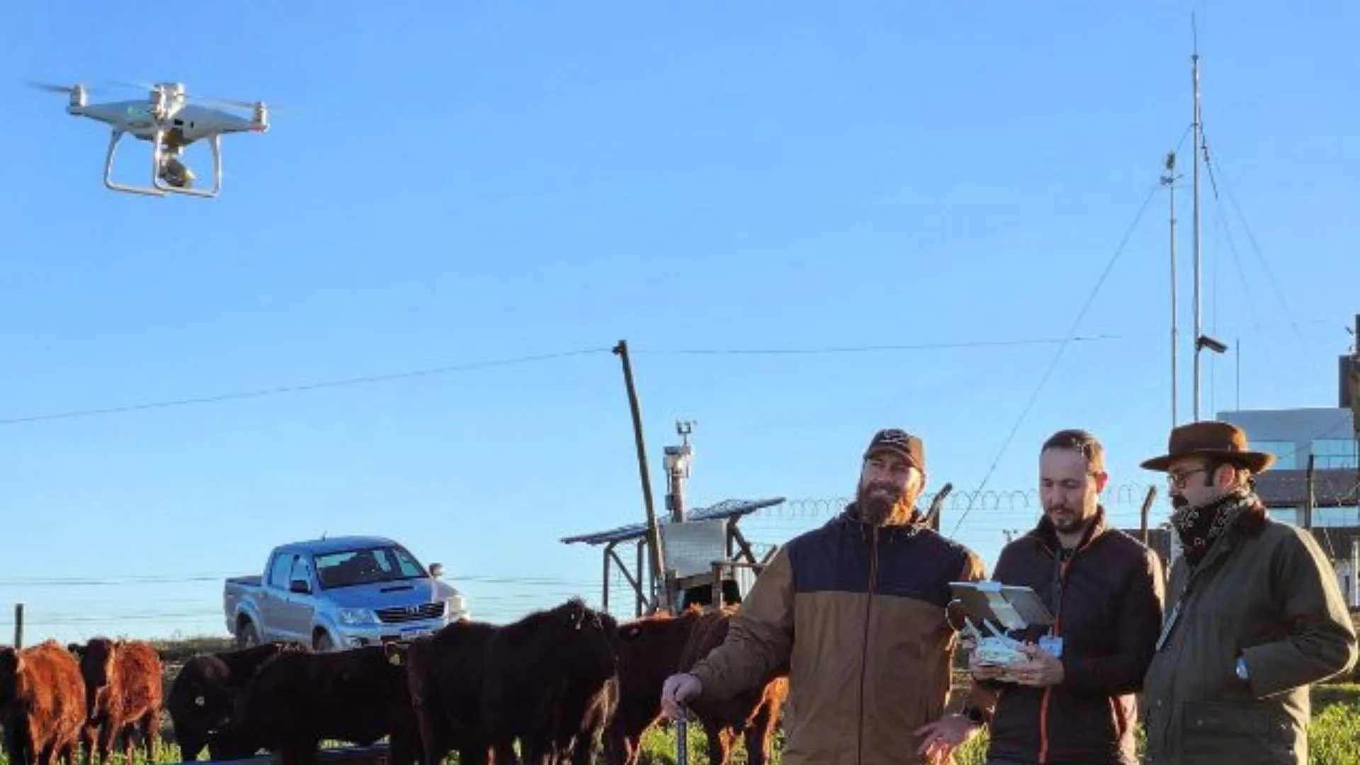 Epagri usa drones e satélites para monitorar pastagens em projeto inédito em SC