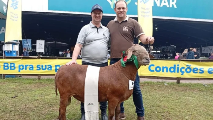 Criadores de Iomerê conquistam bicampeonato na maior feira agropecuária da América Latina