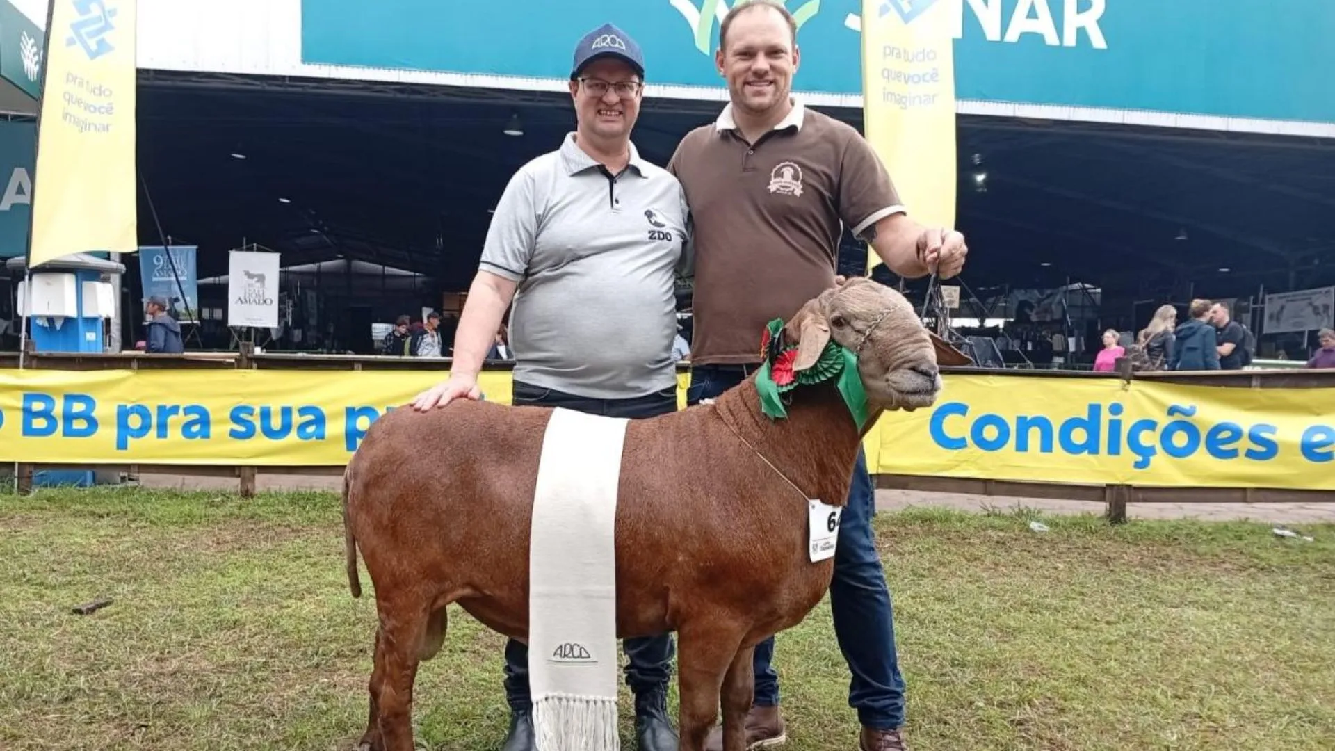 Criadores de Iomerê conquistam bicampeonato na maior feira agropecuária da América Latina