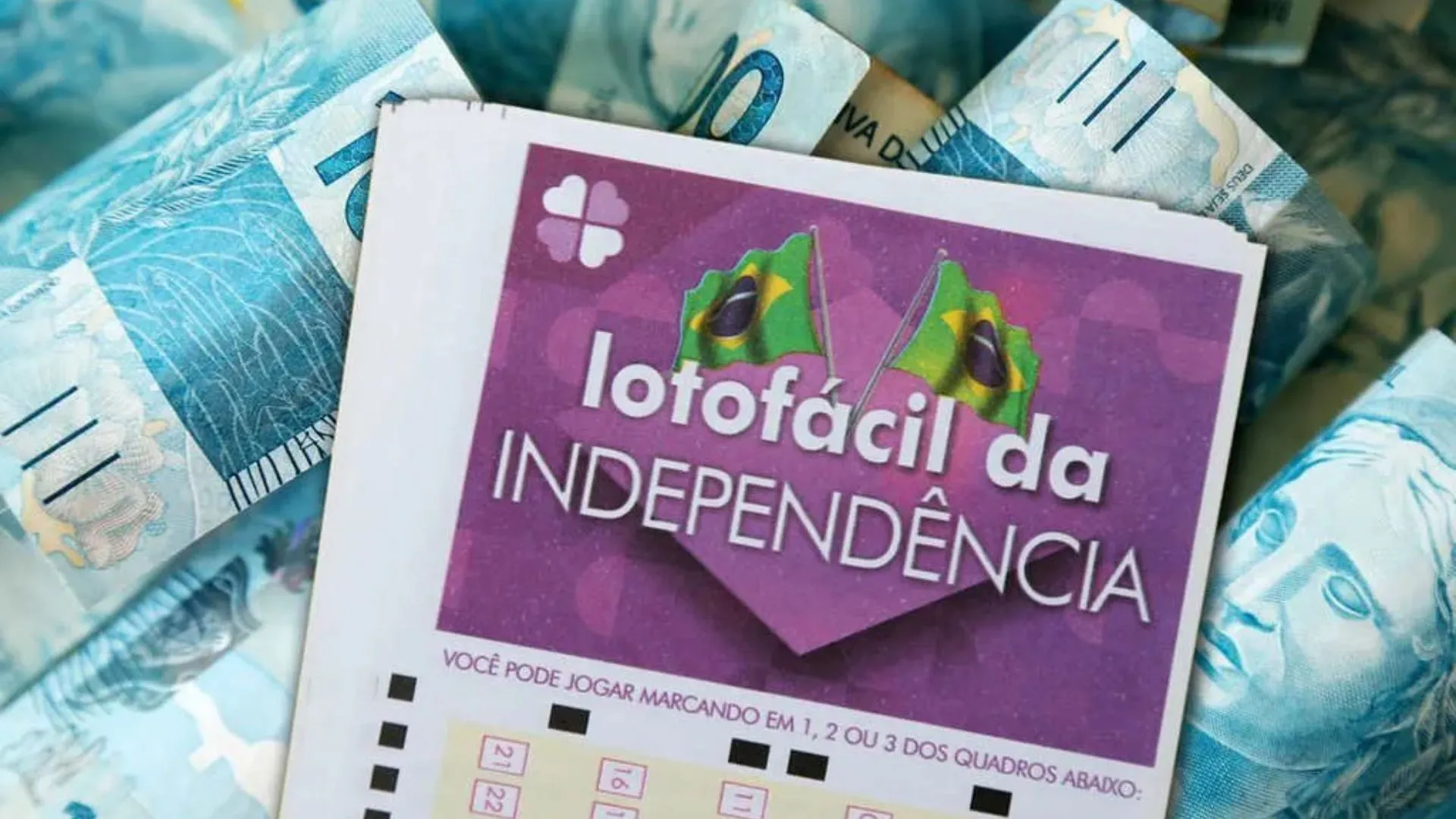 Sorteio da Lotofácil da Independência acontece neste sábado com prêmio de R$ 220 milhões
