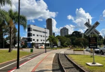 Caçador é destaque com dois projetos no Prêmio FECAM