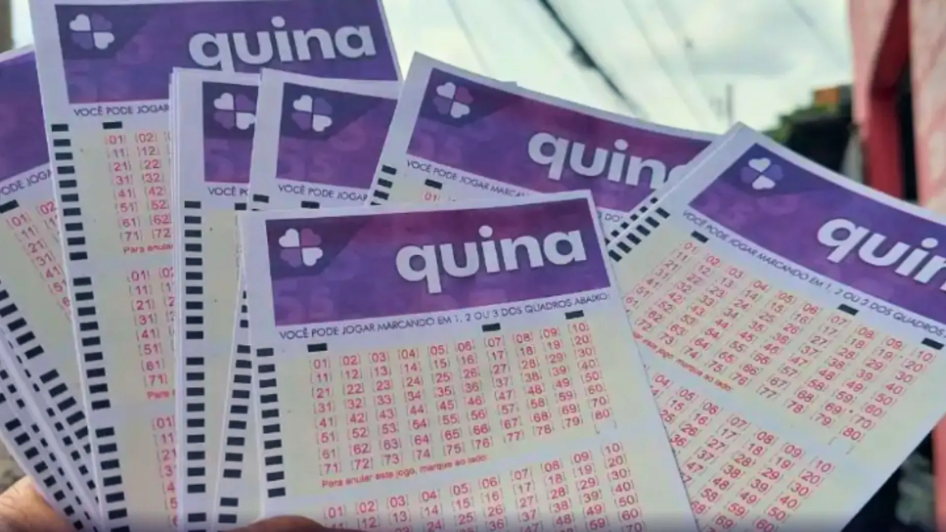 Aposta simples fatura sozinha mais de R$ 10 milhões na Quina