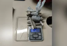 Polícia Militar flagra tráfico de drogas em Herval d’Oeste